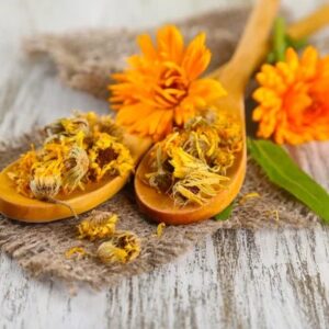 depositphotos_29520939-stock-photo-fresh-and-dried-calendula-flowers