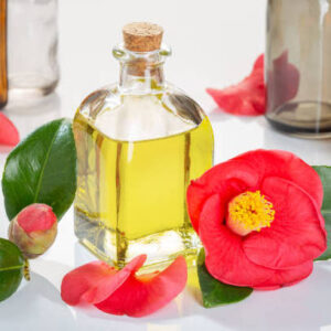 Camellia japonica flower and oil glass bottle for beauty, skin care, wellness and medicinal purposes